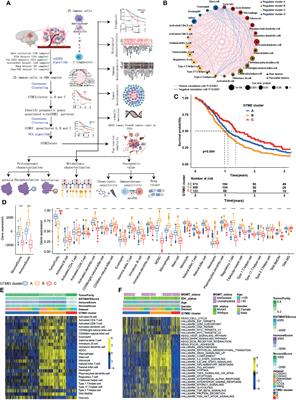 Comprehensive Analysis of the Tumor Immune Microenvironment Landscape in Glioblastoma Reveals Tumor Heterogeneity and Implications for Prognosis and Immunotherapy